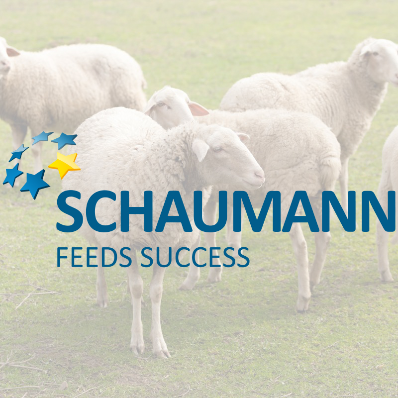 Προκηρύξεις